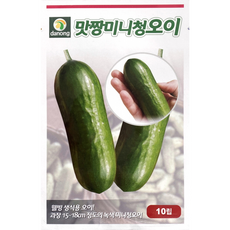 헬프팜 맛짱미니청오이 10립 오이씨 씨앗 종자 다농, 1세트