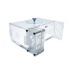 배추흰나비키우기