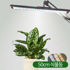 50cm (17W) 풀나옴 LED 그린플러스 식물등 전구 식물 생장등 성장 식물원 다육이 관리 조명