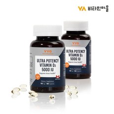 비타민마을 와이즈 비타민D 3000IU 2박스, 2box, 500mg