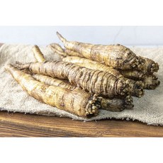 국내산 제주 흙 더덕 상사이즈 산지직송, 1박스, 2kg