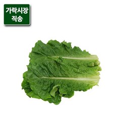 잎로메인2kg