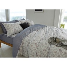 알러텍트싱글세트