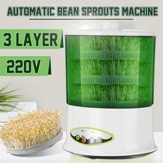 생명과학콩나물기르기