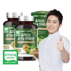 GNM자연의품격 유기농 양배추환, 120g, 2개