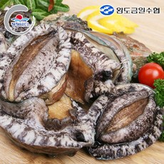 완도금일수협 참전복 (특특대), 1개, 1.5kg(9-11미)