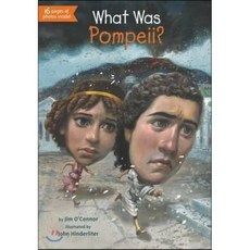 What Was Pompeii?, .