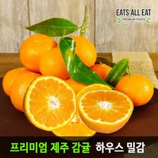 귤로장생4키로