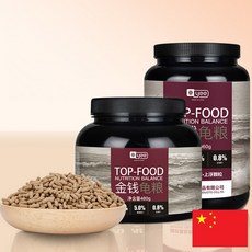 레이저백거북이