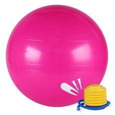 Feb.18 421번 중력볼 스몰 사이즈 다이어트 기구 세트 대구대호 요가볼 밸런스볼 캐릭터Z, 55cm (키 150 - 160 cm), Q33 - 핑크 [두 꺼 운 폭발 방지]