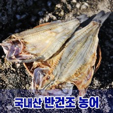 반건조농어