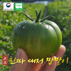 당도보장 대저 짭짤이 토마토 제철 산지직송 짭짜리 토마토, 1박스, 3kg 로얄 프리미엄과 S