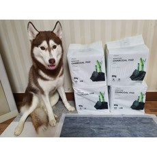  강아지 배변패드 프리미엄 논슬립 애견 패드 흡수력 좋은 대용량 고급형 아몬스 시그니처 차콜 