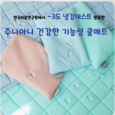 아기 쿨매트 신생아 쿨패드 유아 에어매쉬 여름 침대 낮잠이불 주니아니, 블루, 1개