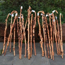 감태나무 지팡이 고목 노인 생일선물 트레킹 등산, B