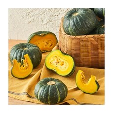 GAP인증 맛있는 보우짱 미니밤호박 1kg 2~4개, ONE COLOR, ONE SIZE