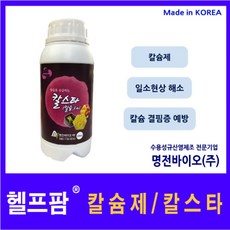 셰퍼벨라
