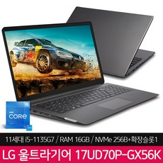 LG전자 울트라 17UD70P-GX56K (i5-1135G7 NVMe 256GB 8GB), FreeDOS, 16GB, 코어i5, 다크 실버