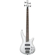 아이바네즈sr300e