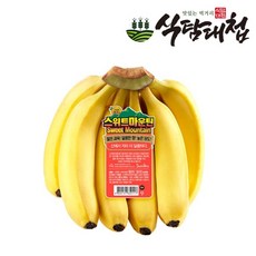 감숙왕파인애플