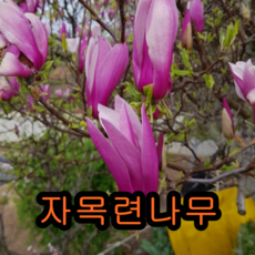 2426faf1d8b8281883b41beab29ca4e35c7f5ae864bb1cf6a4b9805c1c1d.png