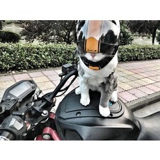 7f304a9b99384322d21be6c5031f03000df585165990d966f7f5c9e71a14.jpg