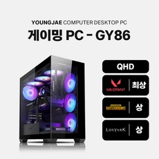 QHD는 이게 맞아! 165Hz 완벽방어 PC! [GY86], GY86, Free DOS, 1TB, 32GB, 블랙