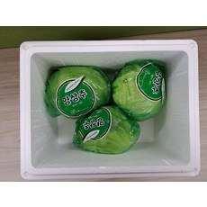 Green one 양상추 3통, 3개