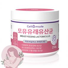 유아용시험성적서