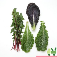 사라상회 모듬쌈채소 4Kg, 1박스