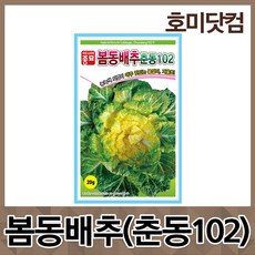 호미닷컴 봄동배추 춘동102 20g 김장 씨앗