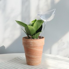 MORIANN 可愛鳥花盆自動餵食器, 1個, 透明