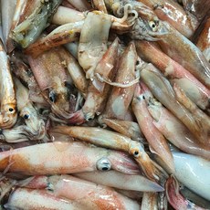 국내산 생물 한치 500g, 1개