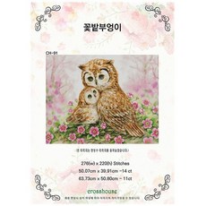 부엉이십자수도안