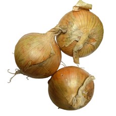 국내산 잘말려 단단한 무안 햇 양파 3kg 5Kg 10Kg 짱아찌 소 / 중 / 대 / 특, 1개, 5kg 짱아찌 소