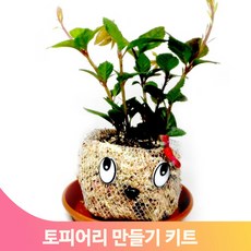 토피어리준비물