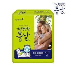 더 펀안한 봄날 위생깔개매트 10개입, 1개