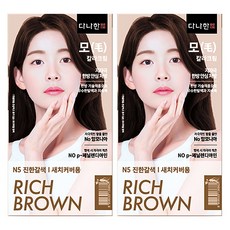 다나한 모 칼라크림 염색약X2개/한방염색약 새치커버, 2개, N5진한갈색