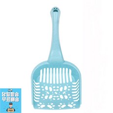 고양이초보집사되기