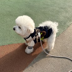 핸드메이드 복슬복슬 풉백 똥츄 강아지배변봉투 강아지산책용품, 01 아이보리, 아이보리, 1개