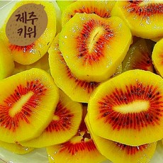 [간이베어] 국내산 제주 예래마을 고당도 레드키위 20brix 특품 산지직송 제철과일, 1박스, 3kg 특대과(30-38과)