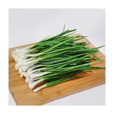 신선아삭 향긋한 쪽파 요리필수 1kg, ONE COLOR, ONE SIZE