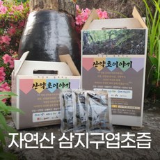 산약초이야기 자연산 삼지구엽초 음양곽 즙 진액 엑기스 120ml 60포