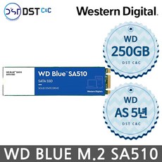[WD 공식판매원] 웨스턴디지털 BLUE SA510 M.2 2280 SATA3 250GB SSD