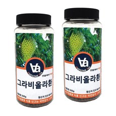  인도네시아 그라비올라환 300g, 2개 