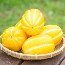 [초록자연] 아삭달콤 성주 꿀참외 5kg (16-20과), 상세 참조
