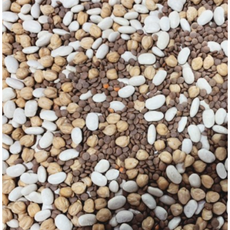병아리콩 콩 병아리콩렌틸콩 흰강낭콩1kg chickpeas 소반미반 병아리콩 잡곡1kg병아리콩1kg 힌강남콩 하얀콩 네이비빈 브라운콩 렌틸 lentils 미국콩 수입, 1개, 렌틸콩1kg