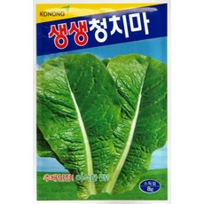 가을상추