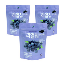 산마을 리얼칩 블루베리, 20g, 6개