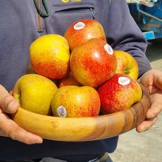 예산 꿀 엔비 못난이 흠집 가정용 사과 1kg 2kg 3kg 4kg 5kg 10kg, 1박스, 3kg/가정용(팬시)/중과/15과내외